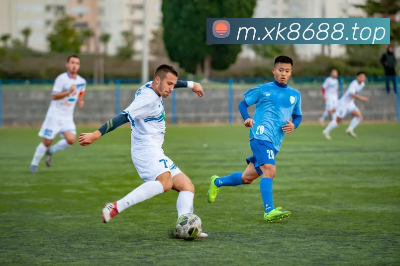 k8凯发天生赢家官网全站App